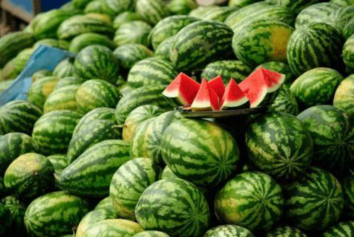 山东两位网红吃瓜视频播放